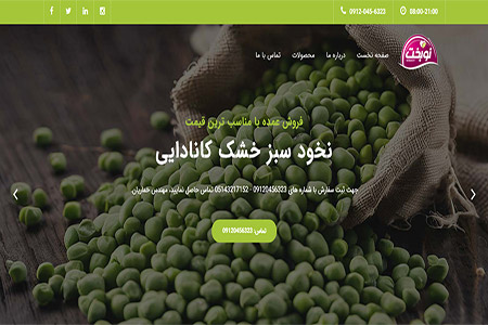 شرکت بازرگانی دلپسند کو